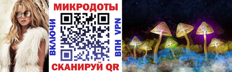 Галлюциногенные грибы Magic Shrooms  Купить где  Холмск 