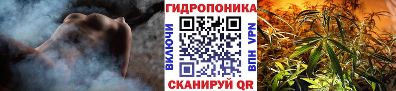 Купить где  Холмск  Каннабис план 